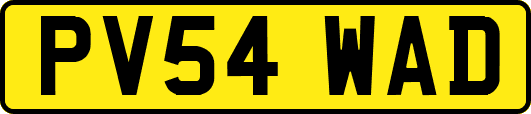 PV54WAD