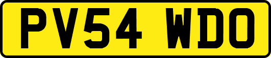 PV54WDO