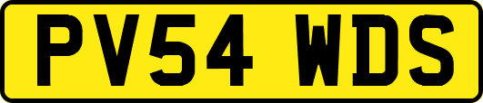 PV54WDS