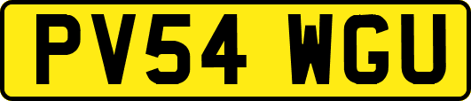 PV54WGU