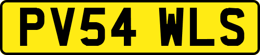 PV54WLS