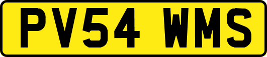 PV54WMS