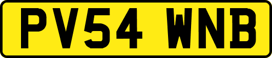 PV54WNB