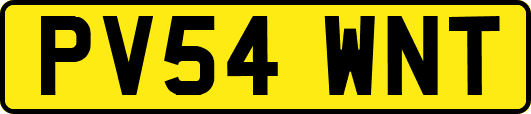 PV54WNT