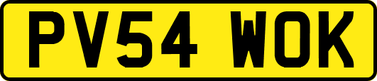 PV54WOK