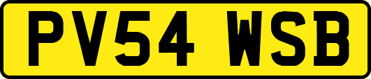 PV54WSB