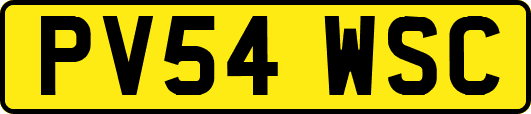 PV54WSC