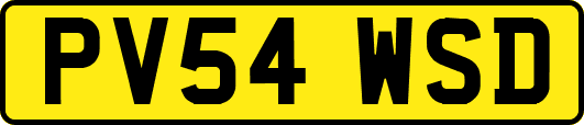 PV54WSD