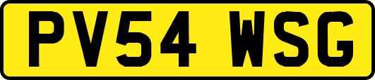 PV54WSG