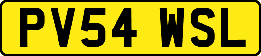 PV54WSL