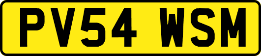 PV54WSM