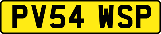 PV54WSP