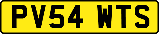 PV54WTS