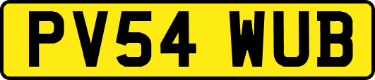 PV54WUB