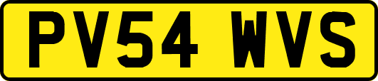 PV54WVS
