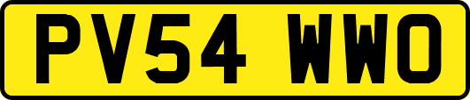 PV54WWO