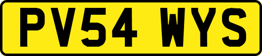 PV54WYS