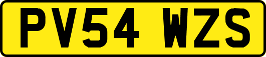 PV54WZS