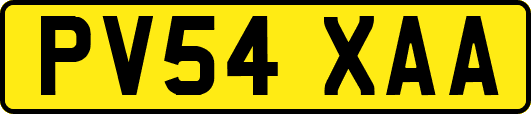 PV54XAA
