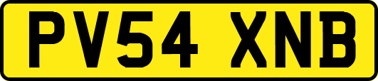 PV54XNB