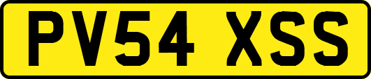 PV54XSS