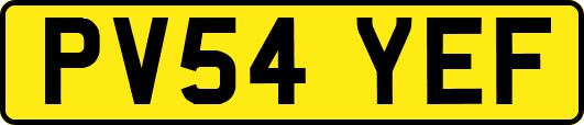 PV54YEF
