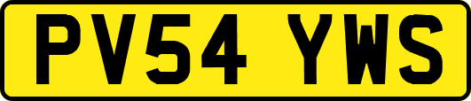 PV54YWS