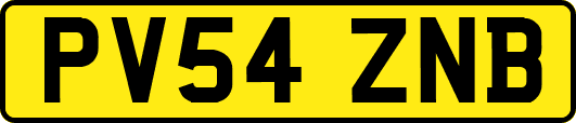 PV54ZNB