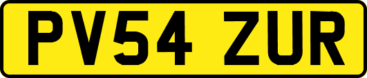 PV54ZUR