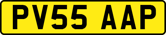 PV55AAP