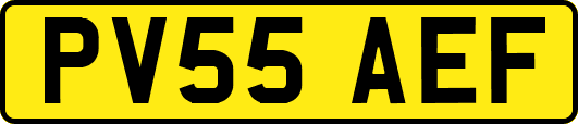 PV55AEF