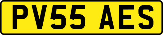 PV55AES