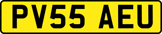 PV55AEU