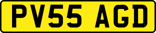 PV55AGD