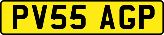 PV55AGP