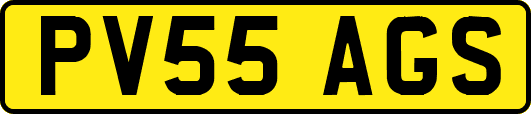 PV55AGS