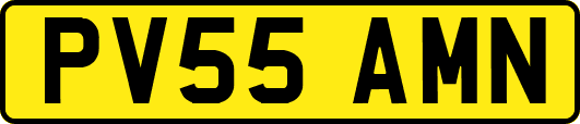 PV55AMN