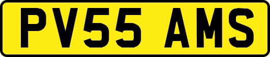 PV55AMS