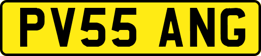 PV55ANG