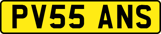 PV55ANS