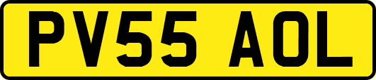 PV55AOL