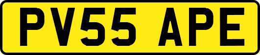 PV55APE