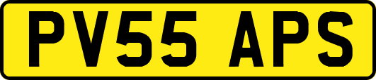 PV55APS
