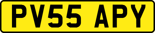 PV55APY