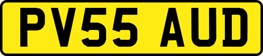 PV55AUD