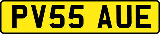 PV55AUE