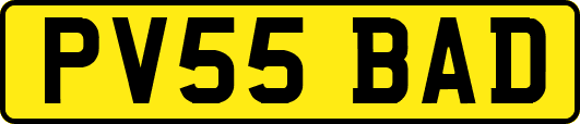 PV55BAD