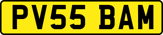 PV55BAM