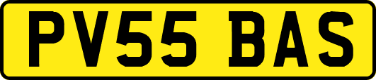 PV55BAS