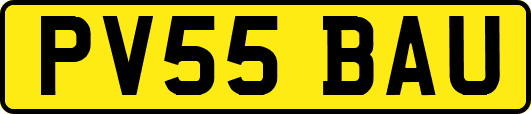PV55BAU